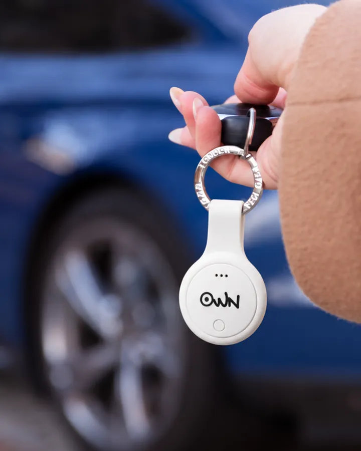 Car keys · In its silicone key ring
