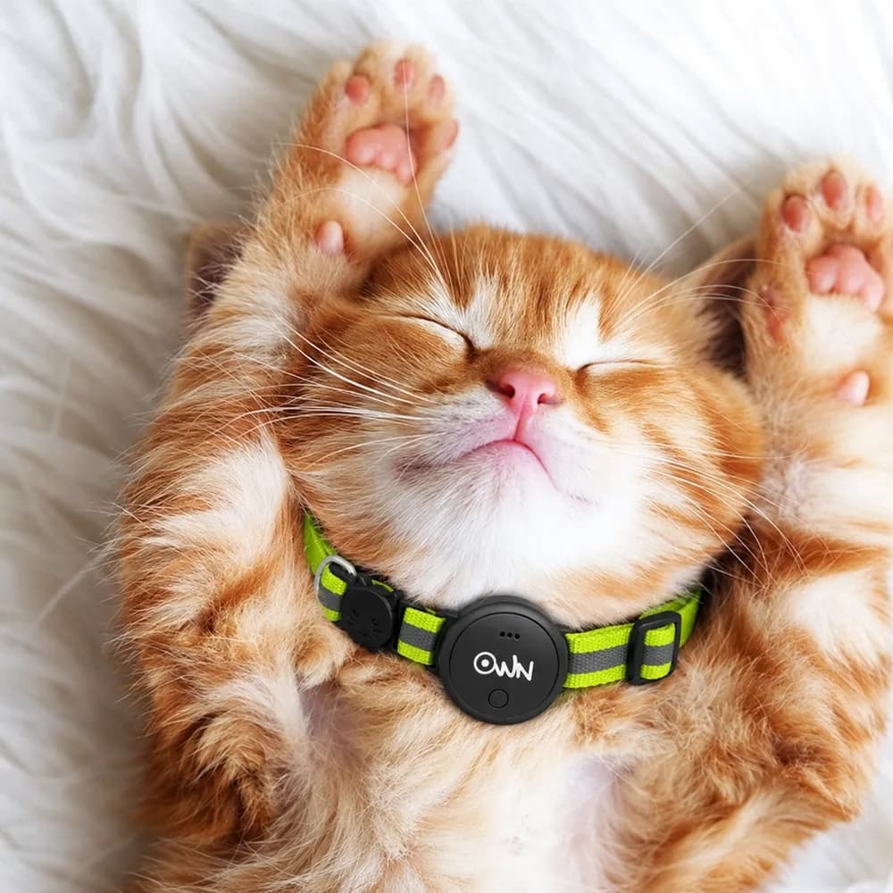 Pet Collar